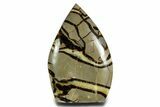 Free-Standing Polished Septarian - Madagascar #361974-1